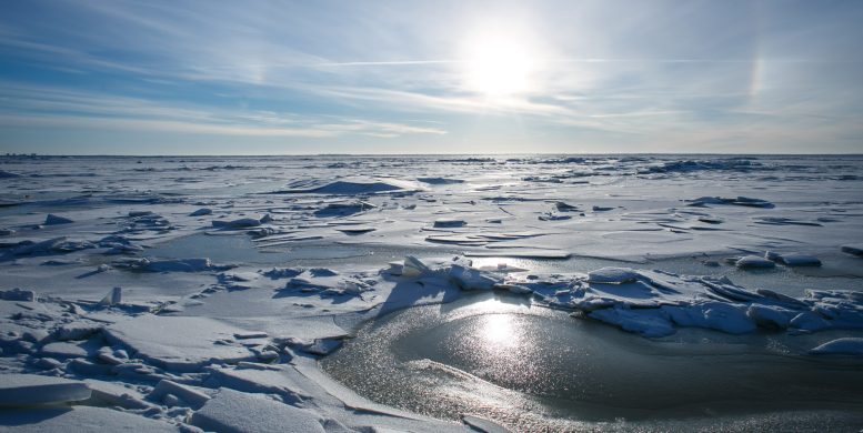 Croisière Antarctique : quand réserver pour payer moins cher ?